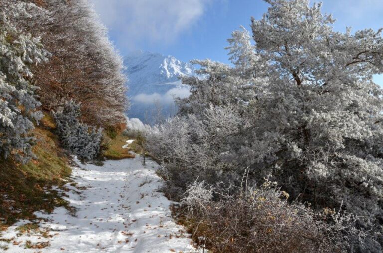 St Firmin 20221211 8 Les Préaux